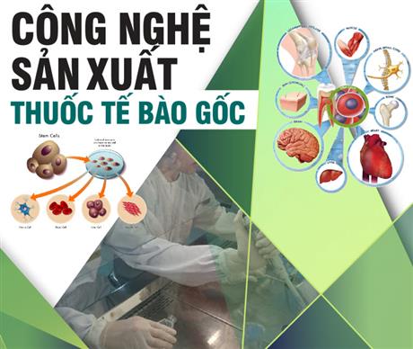 Công nghệ sản xuất thuốc tế bào gốc